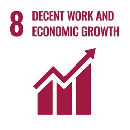 SDG 8